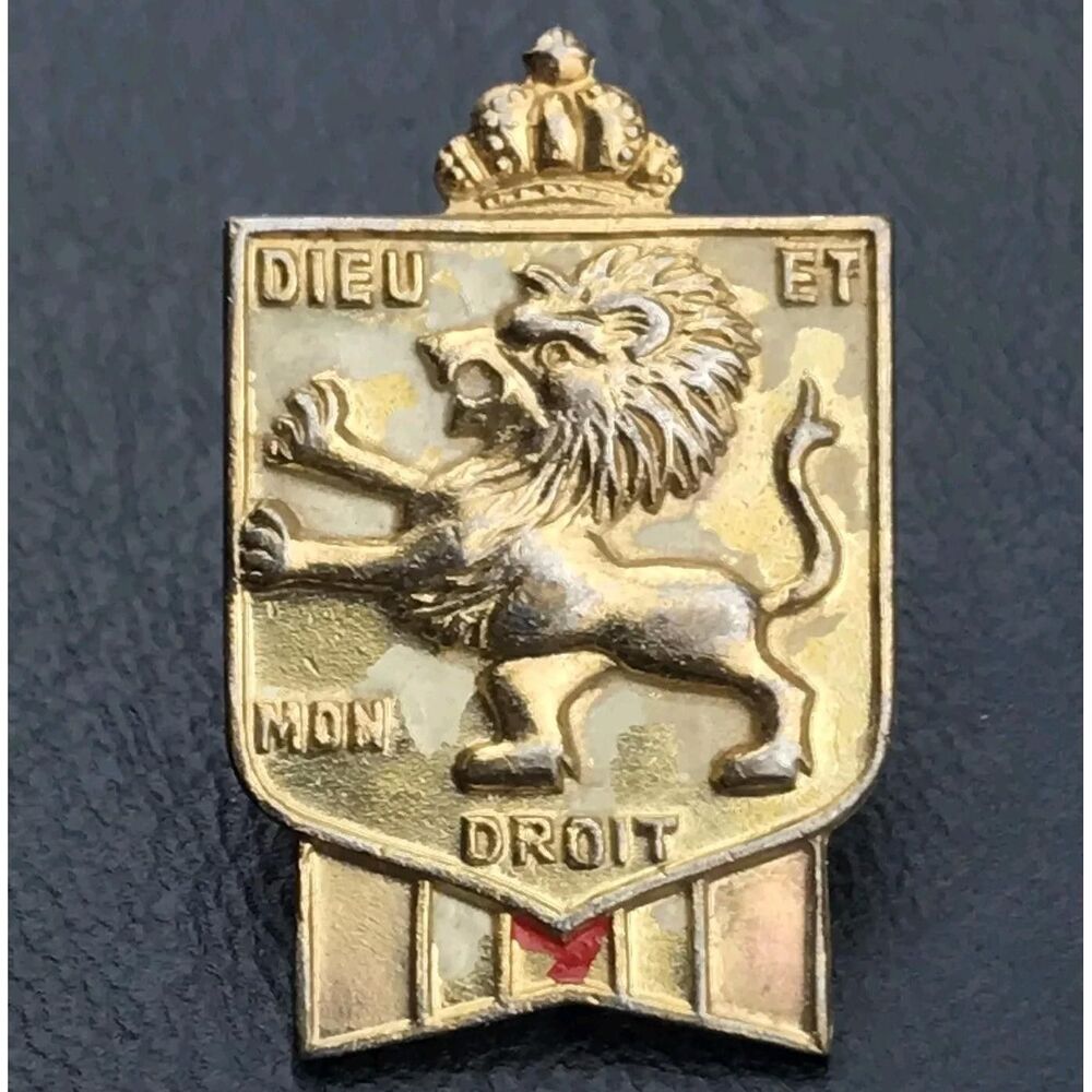 British War Relief Society Vintage Pin Brooch Gold Tone BWRS Screw Back